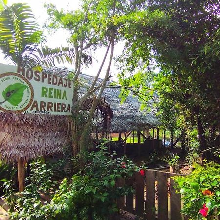 Hospedaje Y Tours Reina Arriera Amazonas Colombia Macedonia Eksteriør bilde