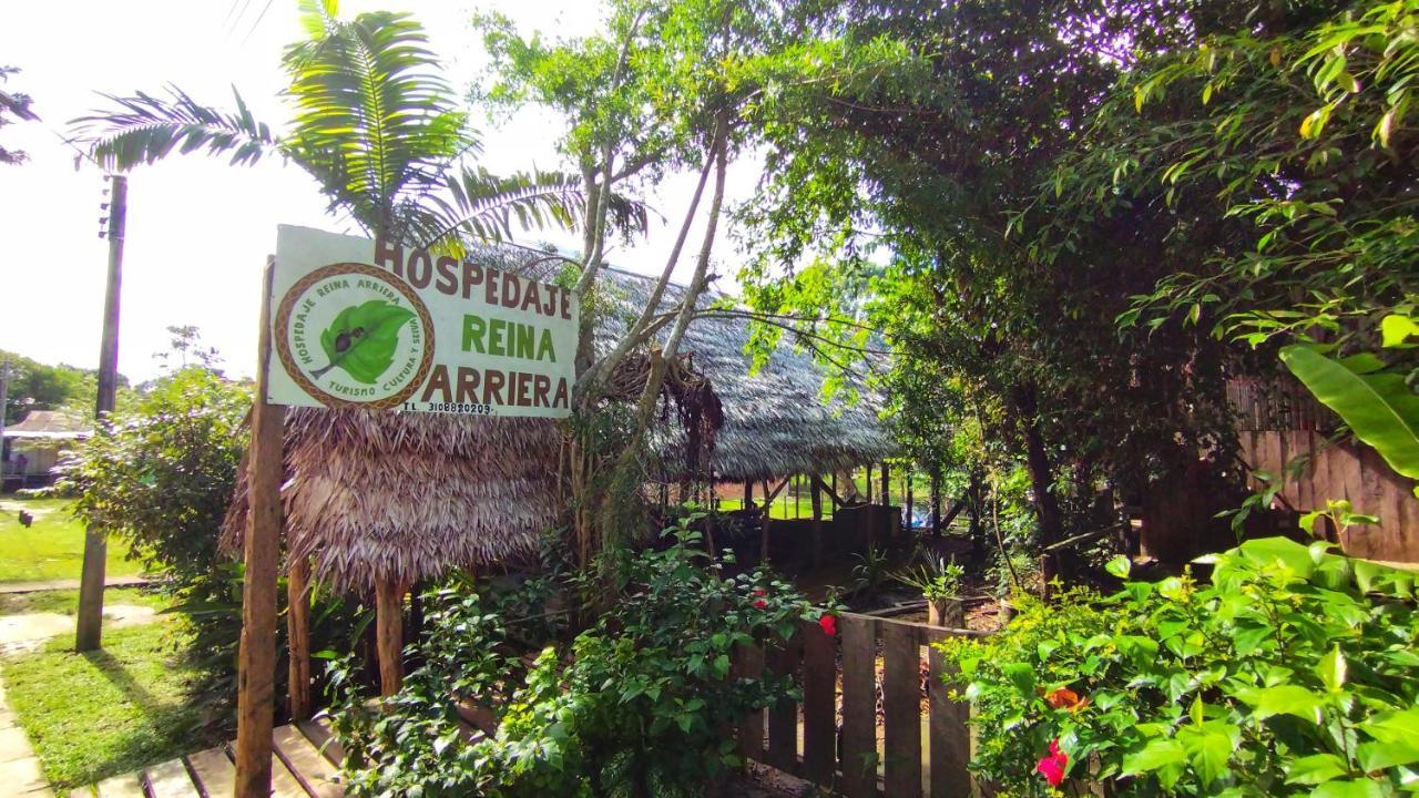 Hospedaje Y Tours Reina Arriera Amazonas Colombia Macedonia Eksteriør bilde