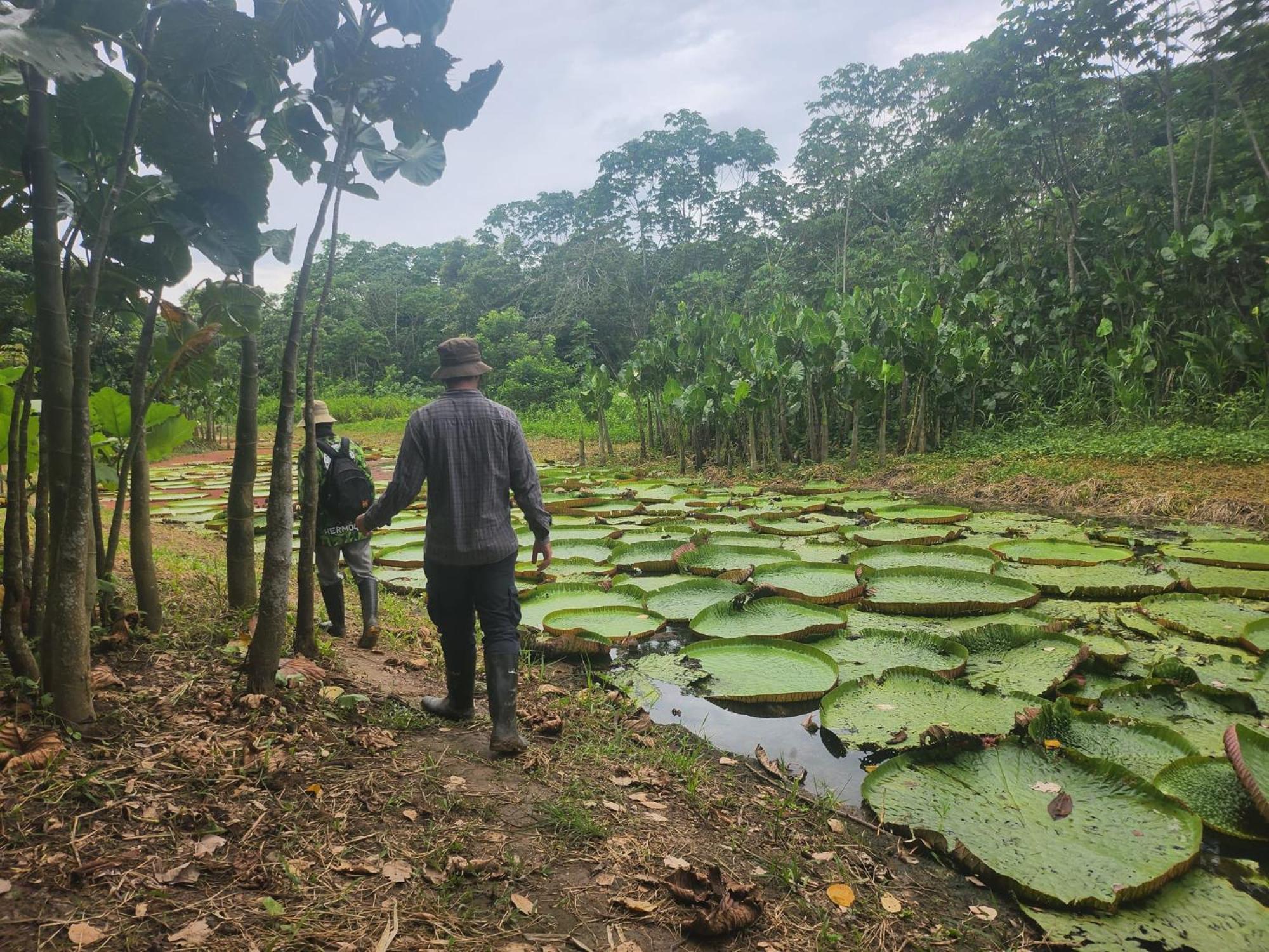 Hospedaje Y Tours Reina Arriera Amazonas Colombia Macedonia Eksteriør bilde