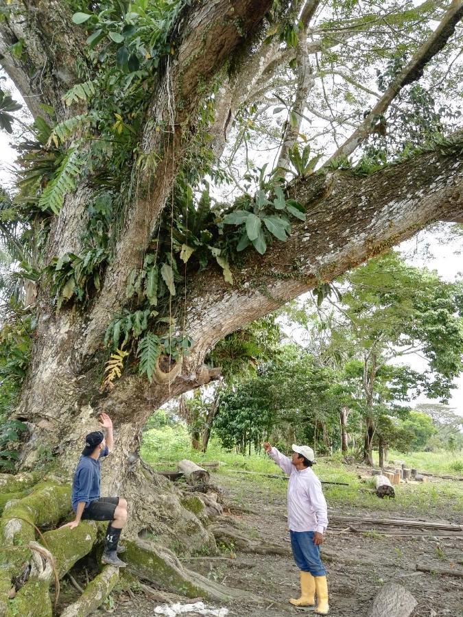 Hospedaje Y Tours Reina Arriera Amazonas Colombia Macedonia Eksteriør bilde